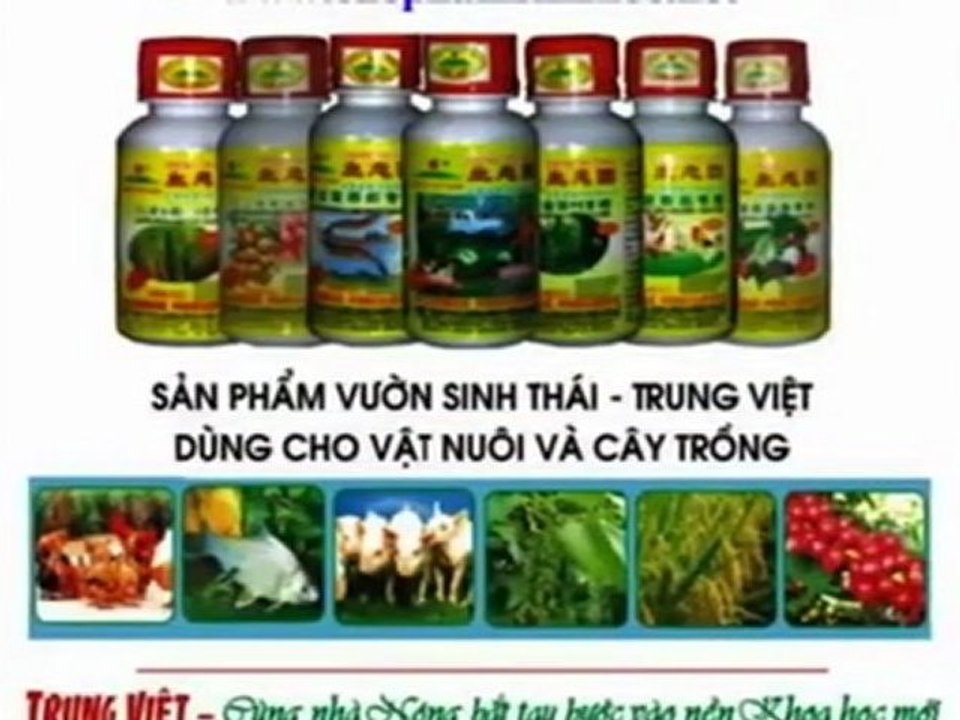 vuon sinh thai - Hãy vì 1 nền nông nghiệp xanh - sạch - an toàn