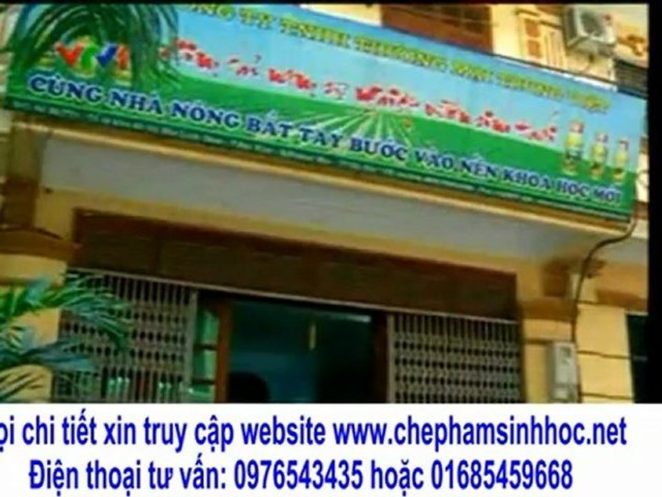 vuon sinh thai - Làm thế nào phòng chống dịch heo(lợn) tai xanh hiệu quả?
