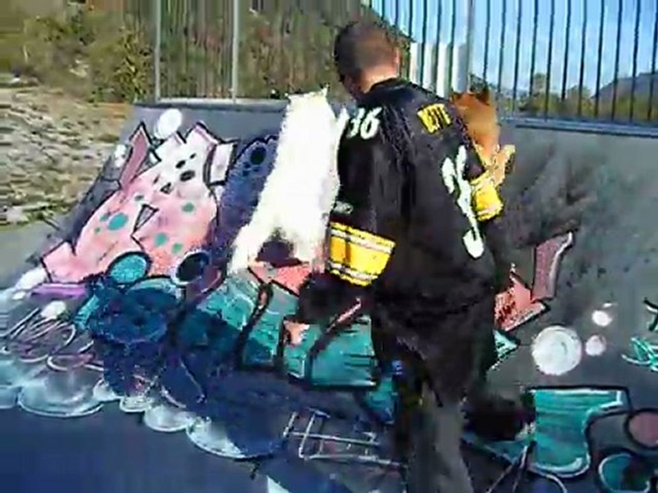 Dog Skate Park Funny