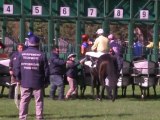 All in a day's work for racehorse handlers