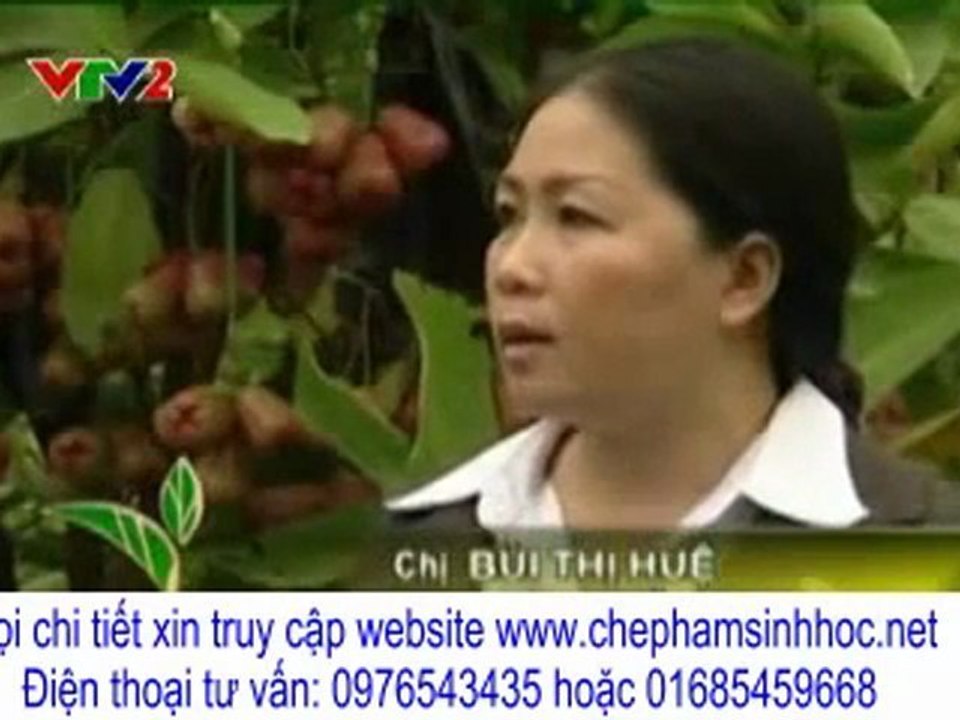 vuon sinh thai - Làm thế nào để bà con nông dân thoát nghèo, tránh mùa màng thất bát?