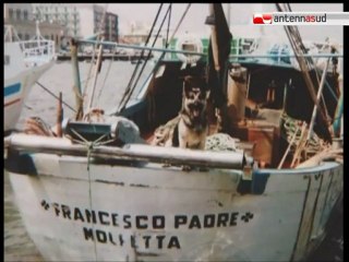 TG 24.10.11 Due scarpe e un pezzo di prora: ecco i nuovi reperti del Francesco Padre
