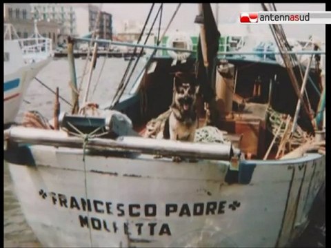 TG 24.10.11 Due scarpe e un pezzo di prora: ecco i nuovi reperti del Francesco Padre