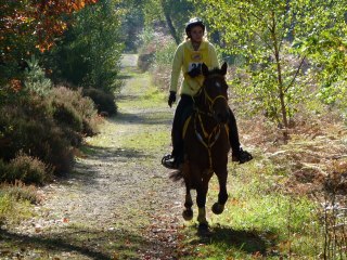 Endurance les Bréviaires 2011 90km VI avec Princesse