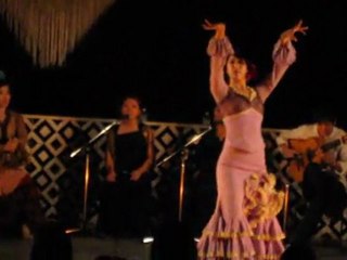 神田外語大フラメンコ舞踊部⑧