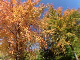 Review: iPhone 4S External Lenses - SoldierKnowsBest