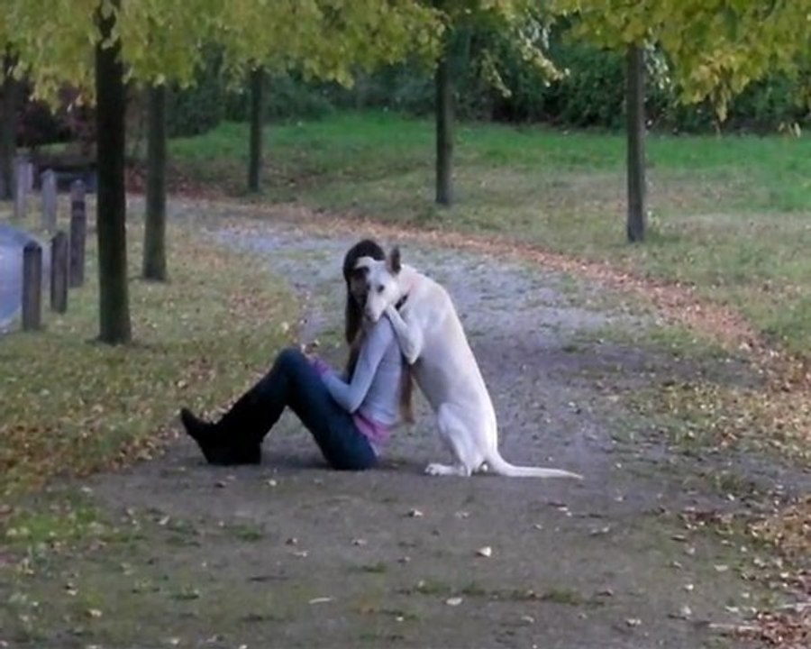 exercices mois de novembre