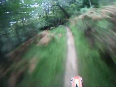 Ausgesetzt in der Wildnis