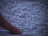 Carpet Cleaning Professionals at Spectrum Restoration | Aurora, IL (630) 898-3200