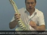 Ostéopathie Fonctionnelle 2 Extrait N°1