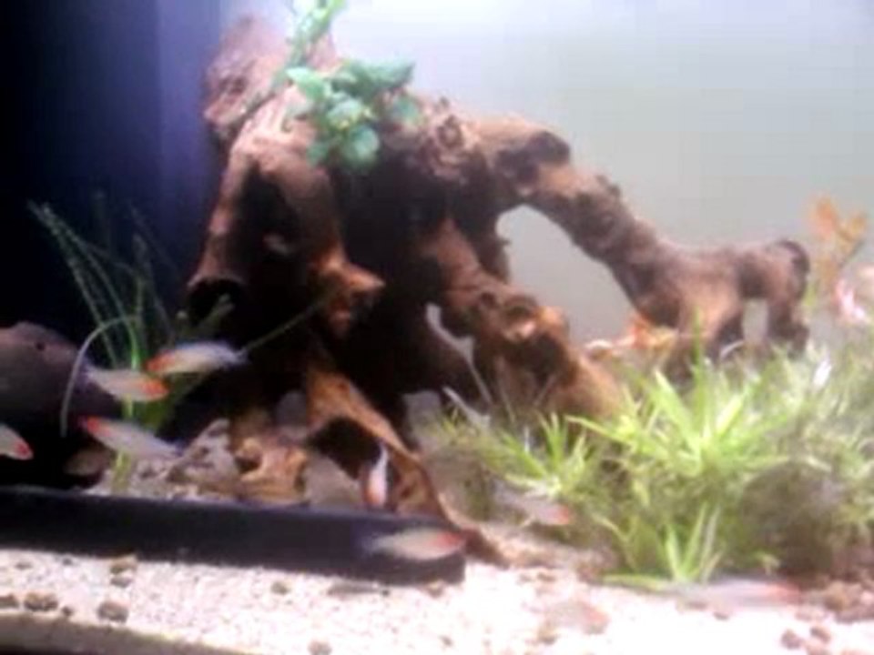 video-2011-10-25 20.10.10