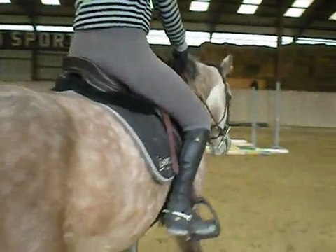 entrainement reprise dressage galop 7