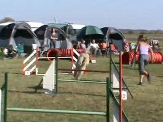 Choco jumping  Mehun 16 10 201