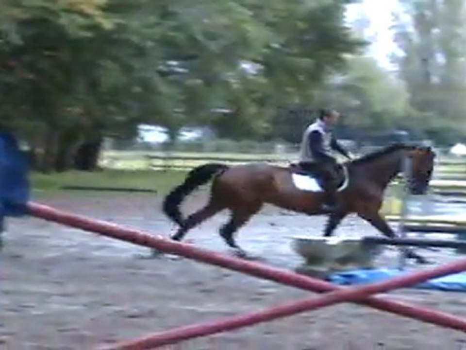 Trot changement pieds