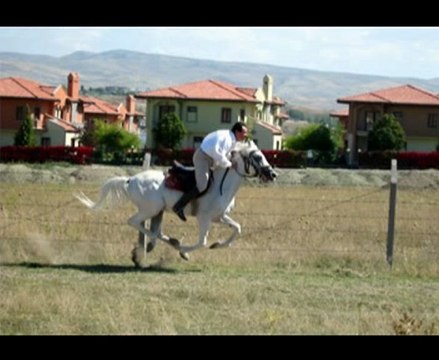 Yiğit Adam Muhsin Yazıcıoğlu - Birlik Mesajı ve Üşüyorum