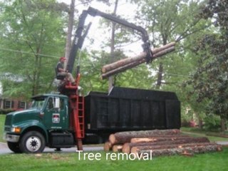 Tree Pruning Marietta