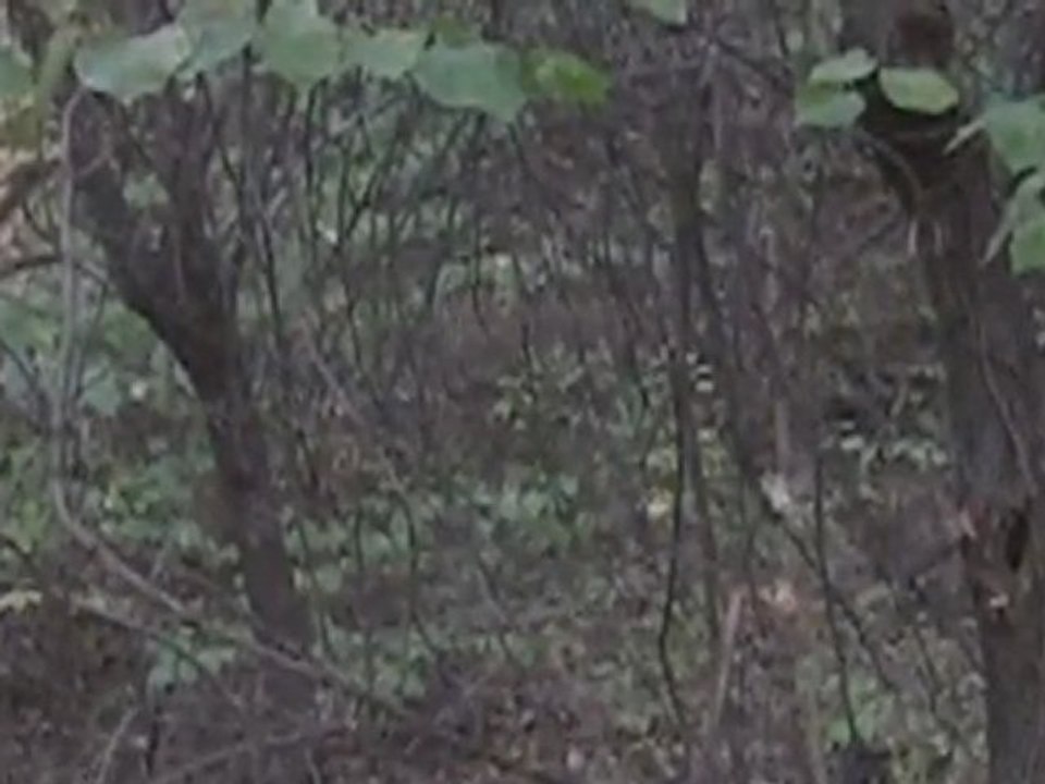 Ike's Outdoors Webisode 3: Redemption