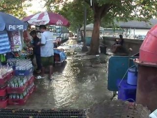 Serpientes en pleno centro de Bangkok