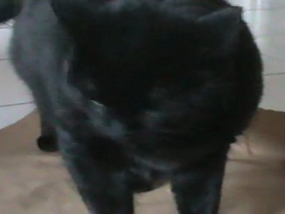 2 septembre 2012. Pilou ne partage pas