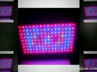 Best LED Grow Light for Hydroponic Gardening