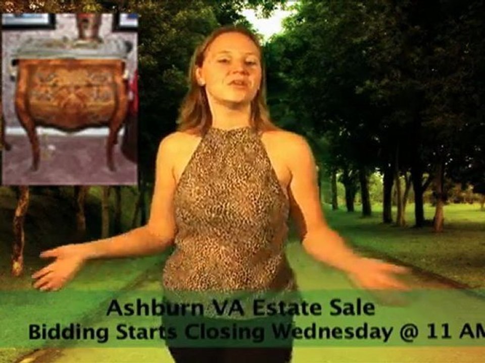 Ashburn Estate Auction