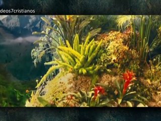 Jehova Señor de los cielos Fernando Ortega