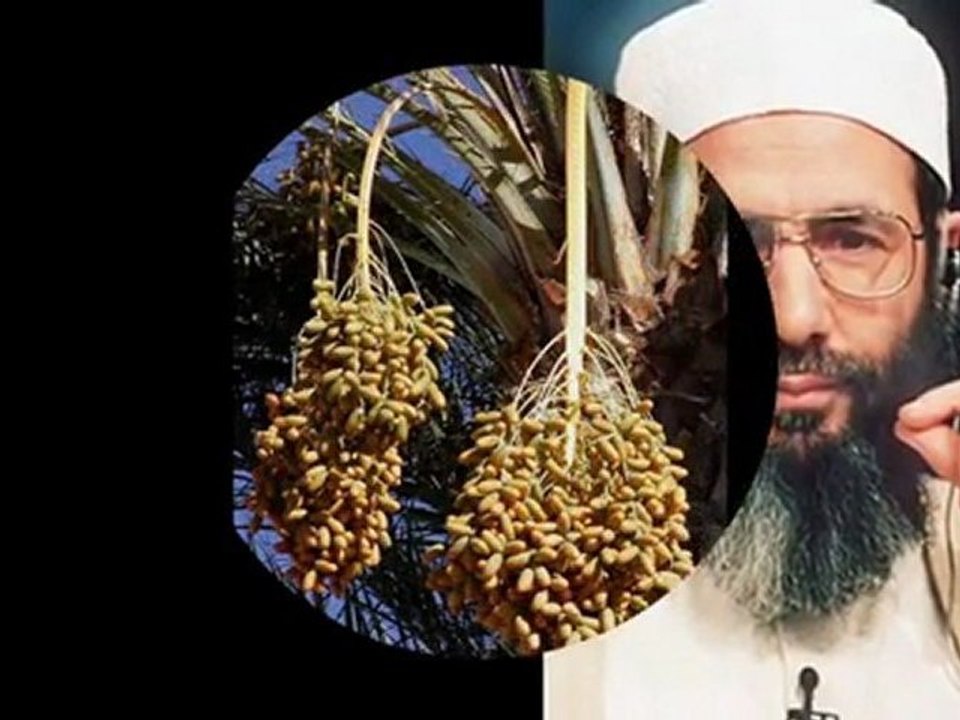 les stars converti a l'islam - YouTube