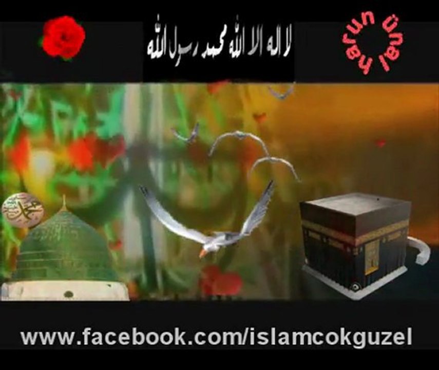 Bir Çift Turna Gördüm Kabe Yolunda