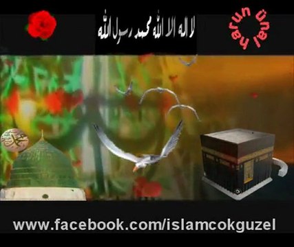 Bir Çift Turna Gördüm Kabe Yolunda