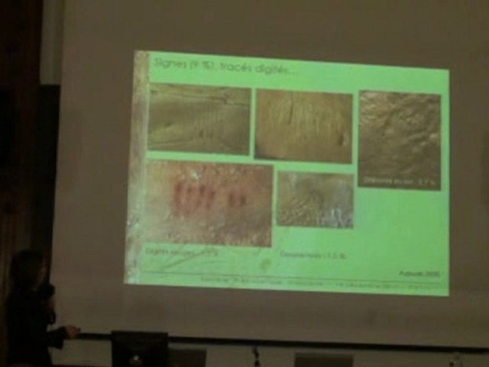 Cussac, Le Panneau de la découverte : premiers relevés (1ère Partie)