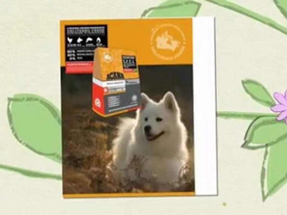 Pet Supplies