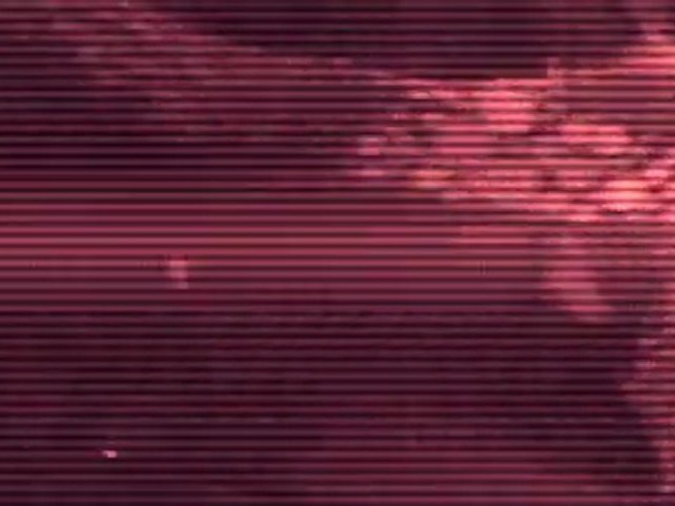 Stadtfischflex live in paris