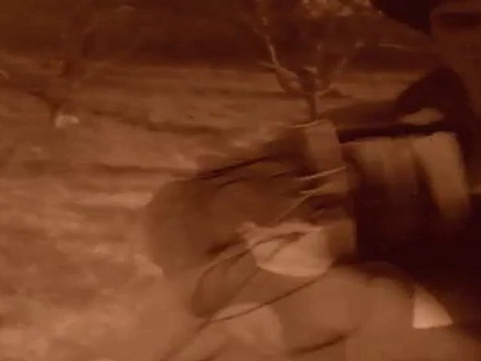 Clip after all - export net