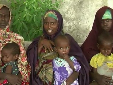 En 25 ans, la population mondiale a cru de 2 milliards pour atteindre quelque 7 milliards d'humains...