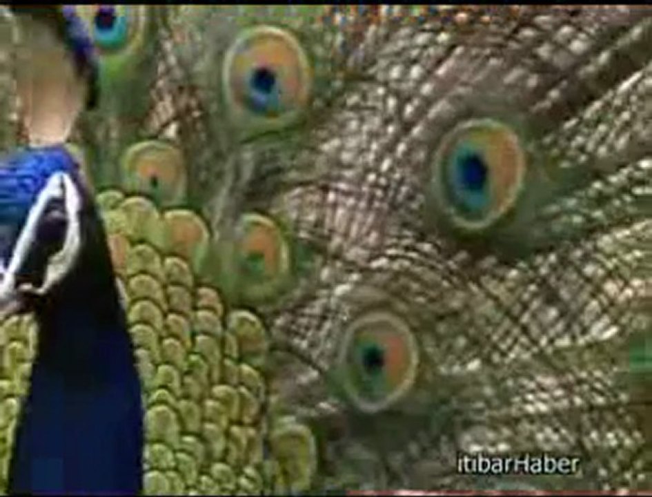 Ayirma_Serdar_Tuncer