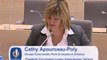 Intervention Cathy Apourceau-Poly budget supplementaire 20-10-11