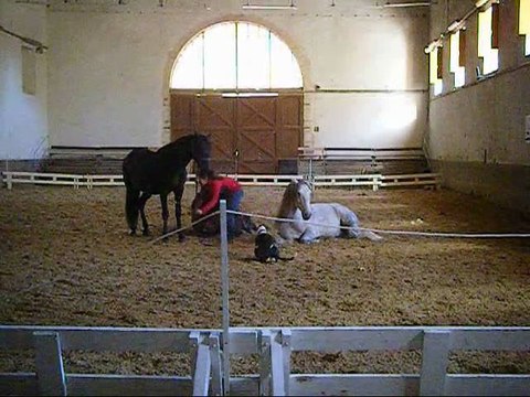 Petit extrait d'une séance avec mes 3 doudous