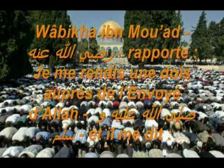 27. Les 40 Hadiths An-Nawawi