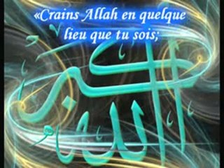 18. Les 40 Hadiths An-Nawawi