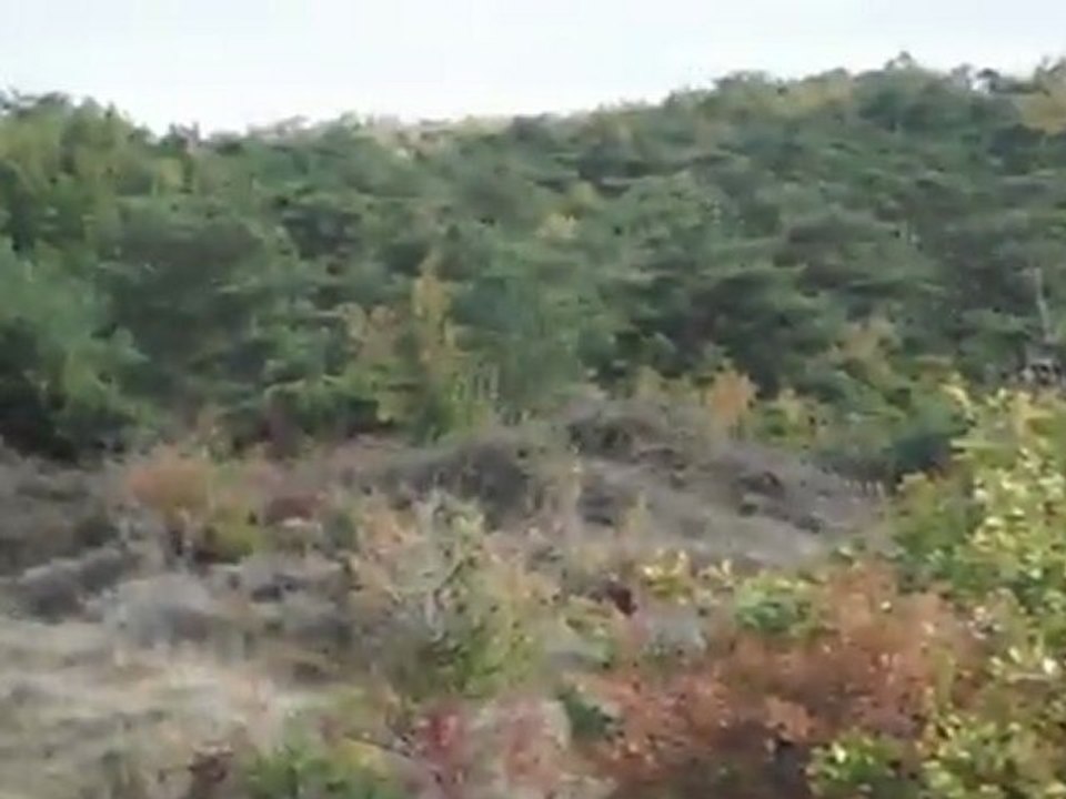 DSCF1199