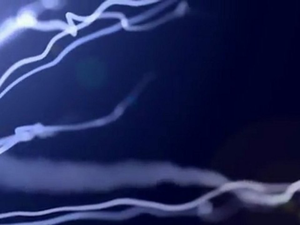 Evanescence Promo (2011)