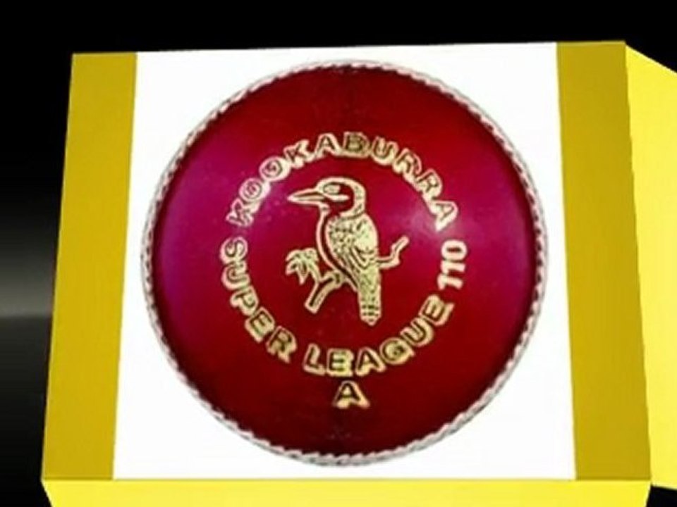 Which Cricket Ball Should I Use