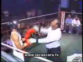un boxeador muy tonto