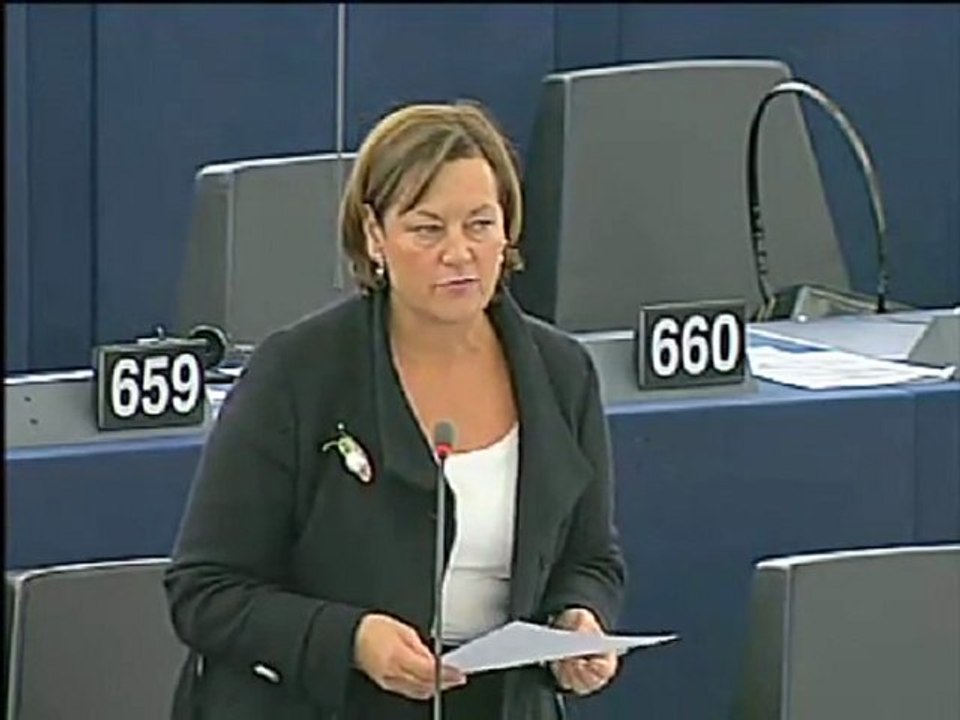 Nathalie Griesbeck on beneficiaries of international protection