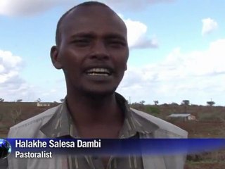 ويب-شركات تأمين تغطي المتضررين من الجفاف في كينيا