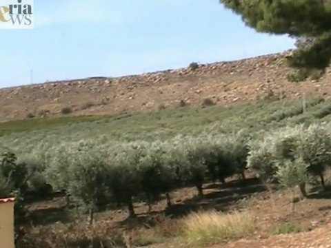 Bagherianews: speciale Casa dei Giovani