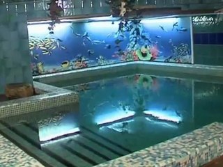 Среда обитания . Враги-невидимки.