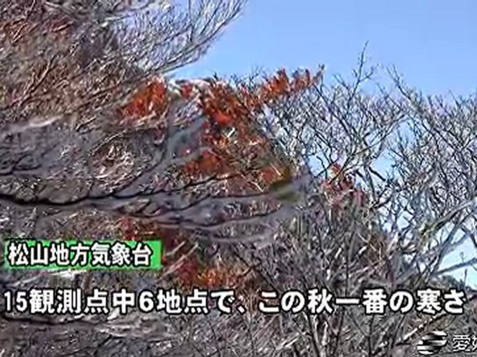 霧氷に覆われ冬の装い　石鎚山 20111026