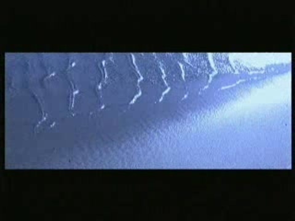 Mariza:"O gente da minha terra"