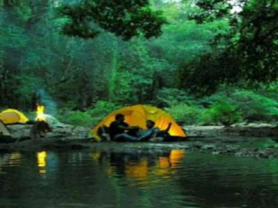 latest tamil song 2011 dhanush